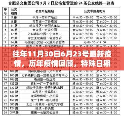 特殊日期下的全球抗疫历程回顾,历年疫情发展至往年11月30日至次年6月23日的全球抗疫历程