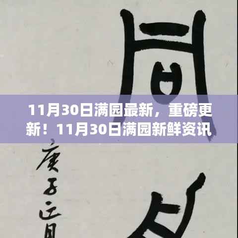 11月30日满园最新重磅更新揭秘,新鲜资讯一网打尽