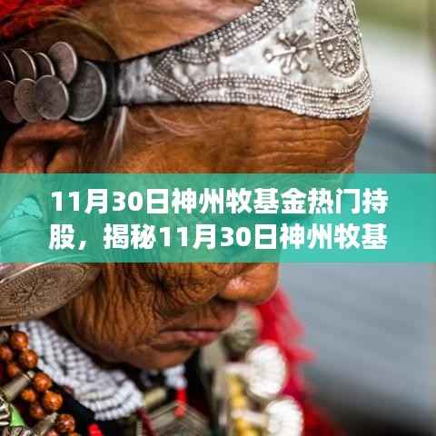 揭秘神州牧基金热门持股策略,焦点与趋势洞察(11月30日)