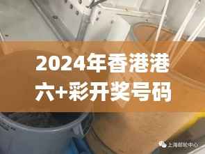 公司概况 第466页