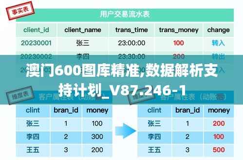 澳门600图库精准,数据解析支持计划_V87.246-1