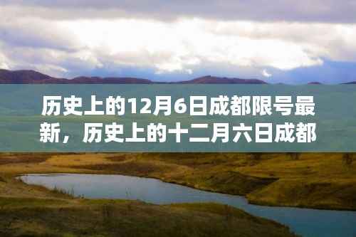 历史上的十二月六日成都限号最新动态,限号查询与应对指南(初学者与进阶用户适用)