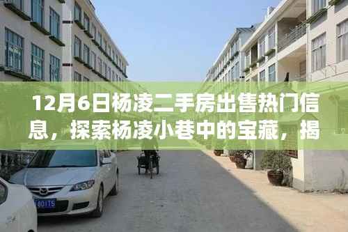 揭秘杨凌二手房市场热门房源背后的故事,探索宝藏房源与十二月市场趋势分析