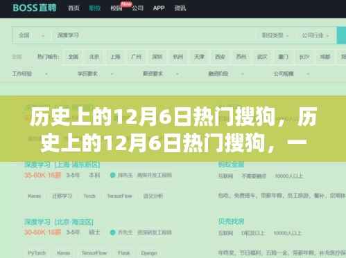 公司概况 第383页