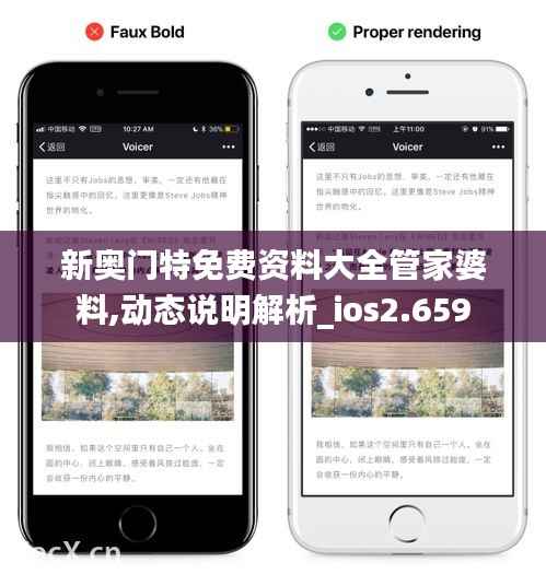 新奥门特免费资料大全管家婆料,动态说明解析_ios2.659