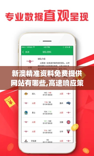 新澳精准资料免费提供网站有哪些,高速响应策略_Plus6.246