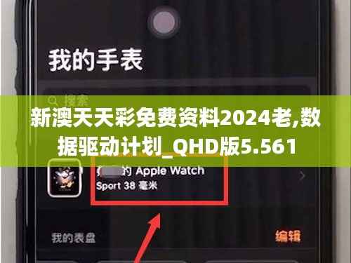 新澳天天彩免费资料2024老,数据驱动计划_QHD版5.561