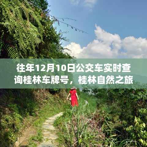 公交车与山水间的宁静之旅,桂林车牌实时查询与心灵之旅启程