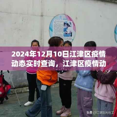 江津区疫情动态实时查询,聚焦2024年12月10日的疫情进展解读报告