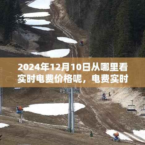 电费实时查询指南，如何轻松查看2024年12月10日的实时电费价格