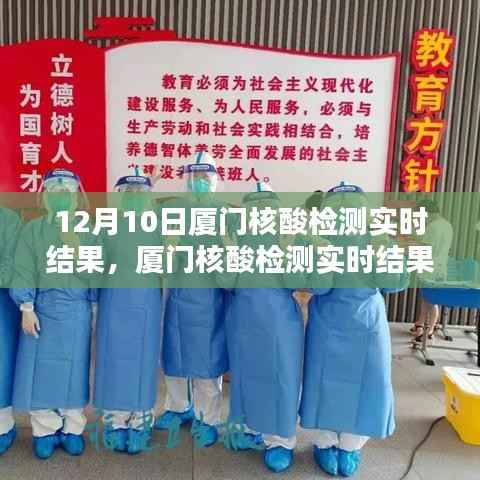 12月10日厦门核酸检测结果实时查询指南,初学者与进阶用户适用