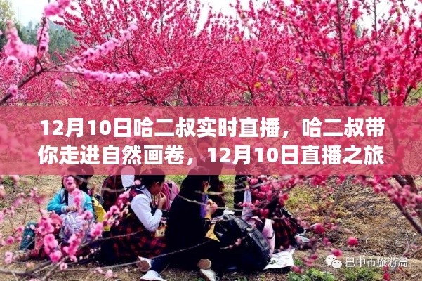 哈二叔带你走进自然画卷,寻找内心的桃花源直播之旅 12月10日实时直播纪实