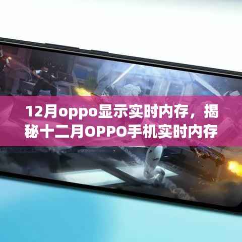 揭秘十二月OPPO手机实时内存管理,轻松掌握内存状态,优化手机性能!