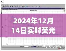 实时荧光定量PCR技术中的SybrGreen深度应用,最新洞察与基因表达研究探讨(2024年最新资讯)