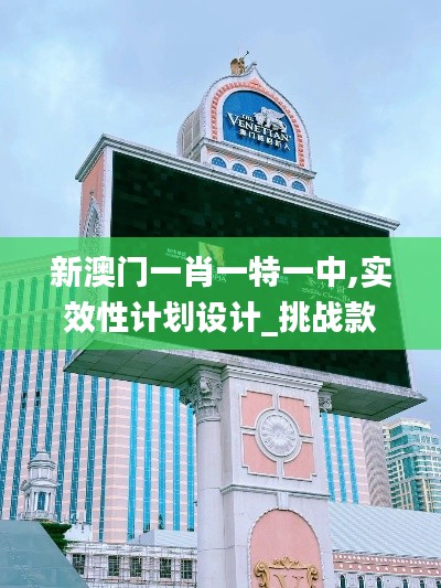 新澳门一肖一特一中,实效性计划设计_挑战款9.223