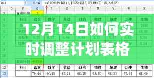 12月14日实时调整计划表格格式,初学者与进阶用户详细指南