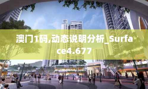 澳门1码,动态说明分析_Surface4.677
