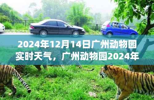 广州动物园风云变幻中的动物与自然共舞纪实，2024年12月14日天气纪实