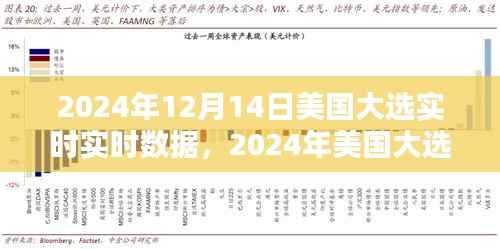 掌握选举动态,2024年美国大选实时数据跟踪与解析