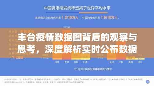 丰台疫情数据图深度解析，实时公布数据的意义与影响观察思考