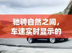 沉灶产蛙 第3页