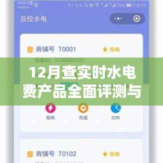 实时水电费产品全面评测与介绍，深度解读十二月数据