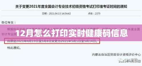 12月实时健康码信息打印攻略