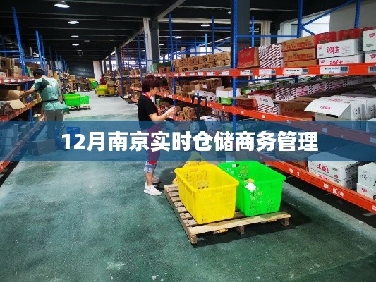 南京实时仓储商务管理,高效运作与智能决策之选