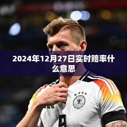 关于实时赔率解析,揭秘背后的秘密与意义