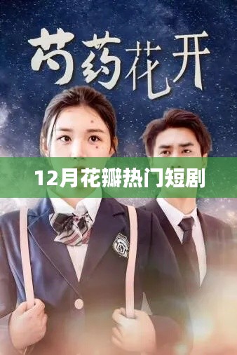 12月花瓣绽放,热门短剧盘点