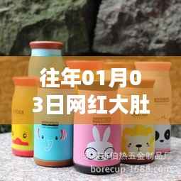 网红大肚杯保温杯掀起热潮,新年新风尚