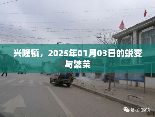 兴隆镇蜕变启航,2025年繁荣新篇章