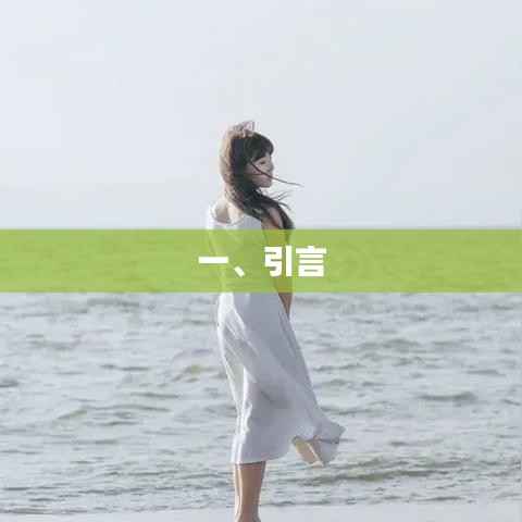 优质文章引言,引人入胜,开启阅读之旅