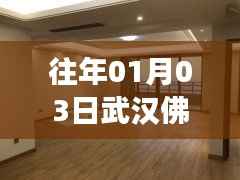 逆风飞扬 第3页