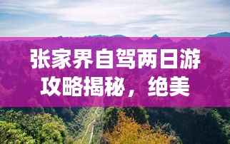 资料中心 第194页