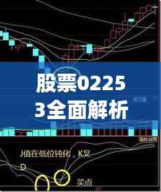 股票02253全面解析，深度探究其投资价值和潜在风险