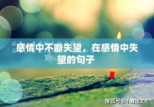 感情中不断失望,在感情中失望的句子