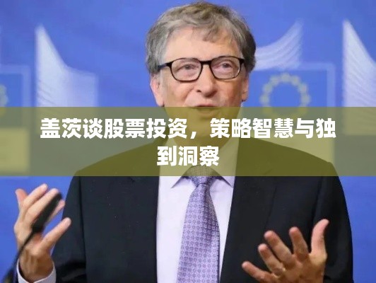 盖茨谈股票投资,策略智慧与独到洞察