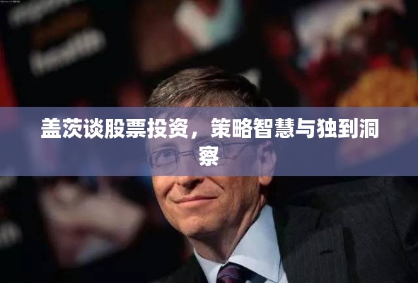 盖茨谈股票投资,策略智慧与独到洞察