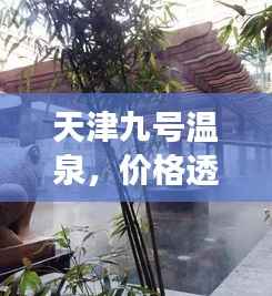 破马张飞 第2页