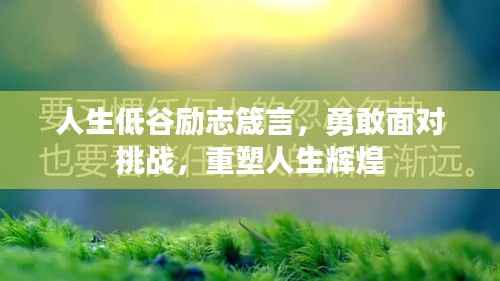 资料中心 第152页