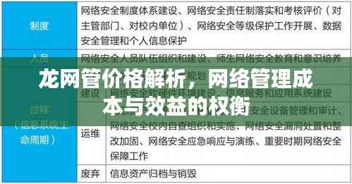 龙网管价格解析,网络管理成本与效益的权衡