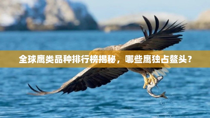 全球鹰类品种排行榜揭秘,哪些鹰独占鳌头?