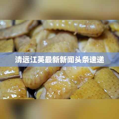 清远江英最新新闻头条速递