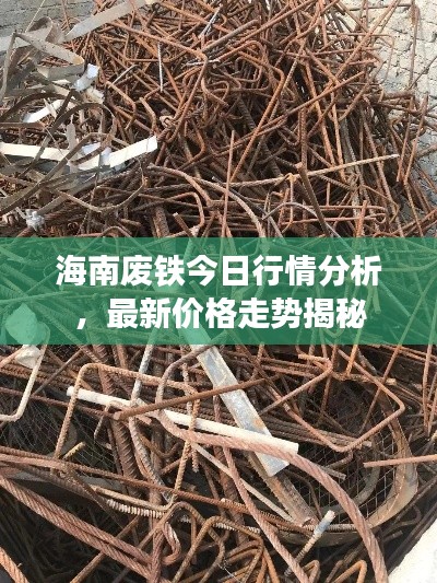 海南废铁今日行情分析,最新价格走势揭秘