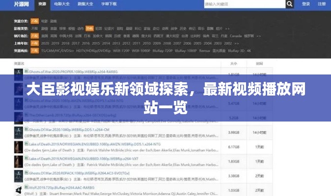 大臣影视娱乐新领域探索,最新视频播放网站一览