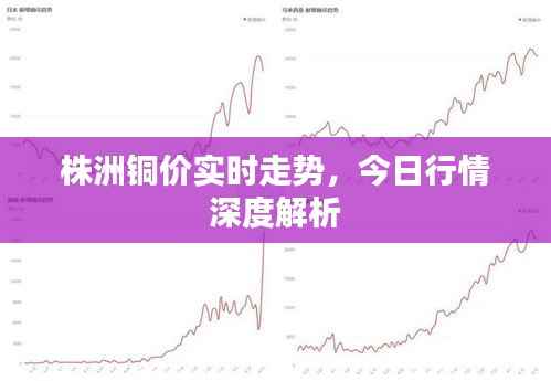 株洲铜价实时走势,今日行情深度解析