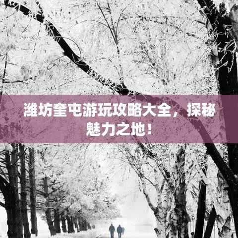 潍坊奎屯游玩攻略大全,探秘魅力之地!