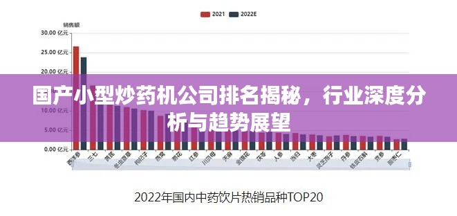 国产小型炒药机公司排名揭秘,行业深度分析与趋势展望
