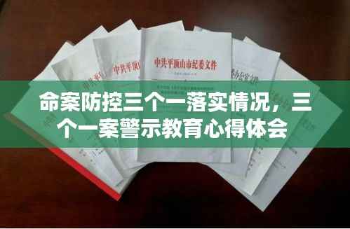 命案防控三个一落实情况,三个一案警示教育心得体会